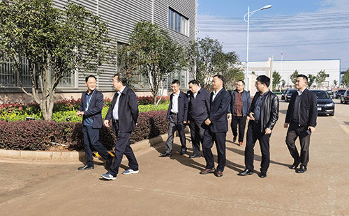 副市長寧偉走訪江南泵閥